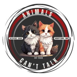Animals Can't Talk